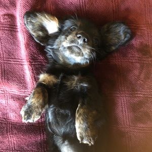 Meet your Posher, Sabrina